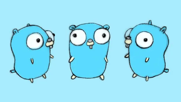 golang gopher slice literal