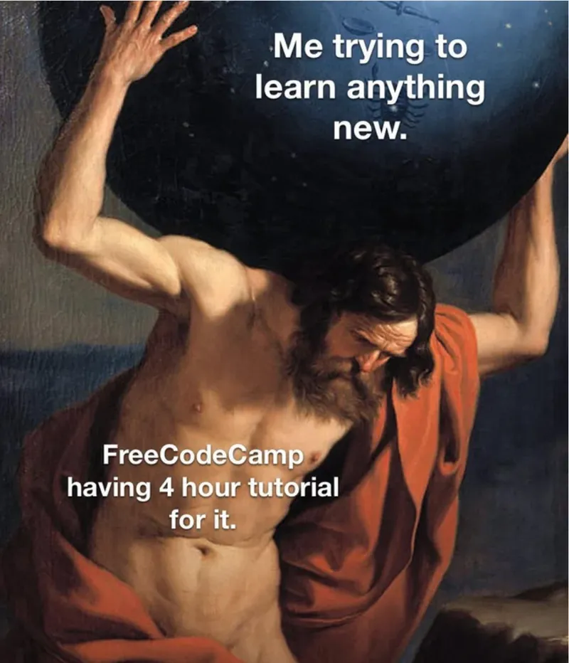 freecodecampmeme