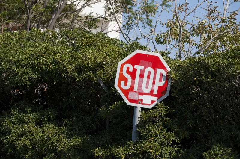 stop sign in bushes